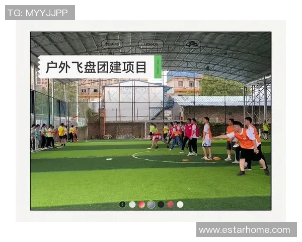 深圳飞盘队战术解析：如何在比赛中运用策略提升团队协作与胜率